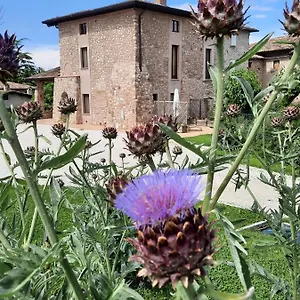 corte-davini-agriturismo.it-lombardy.com/